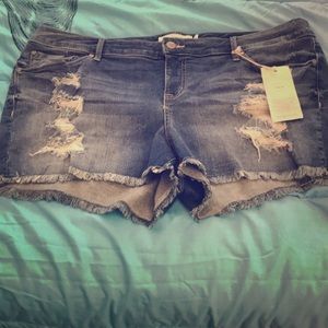 Brand New Torrid Plus Size Denim Shorts